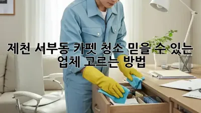 제천 서부동 카펫 청소, 믿을 수 있는 업체 고르는 방법